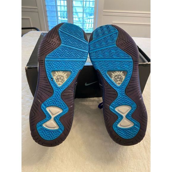Lebron 8 V/2 “Hornets”